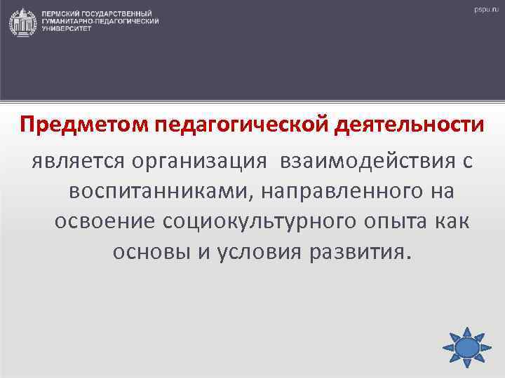 Предметом педагогической деятельности является организация взаимодействия с воспитанниками, направленного на освоение социокультурного опыта как