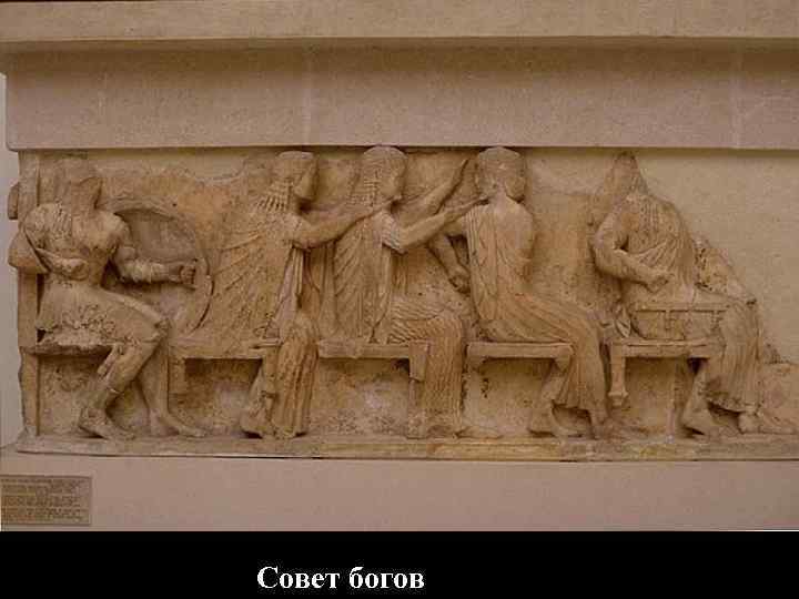 Совет богов Совет богов