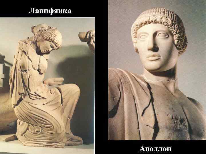 Лапифянка Аполлон Лапифянка Аполлон