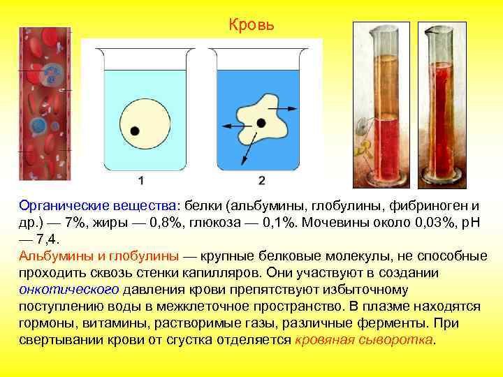       Кровь Органические вещества: белки (альбумины, глобулины, фибриноген и