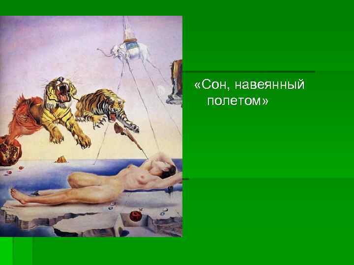  «Сон, навеянный  полетом» 