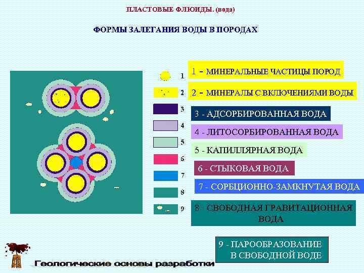  ПЛАСТОВЫЕ ФЛЮИДЫ. (вода) ФОРМЫ ЗАЛЕГАНИЯ ВОДЫ В ПОРОДАХ     1