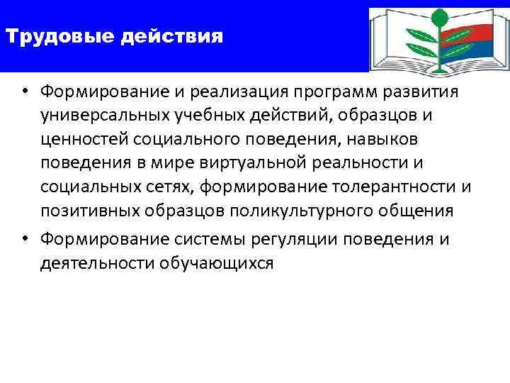 Трудовые действия  • Формирование и реализация программ развития универсальных учебных действий, образцов и