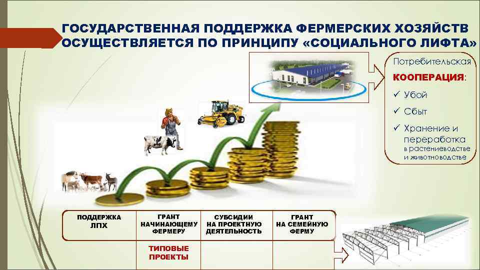 Паспорт федерального проекта создание системы поддержки фермеров и развитие сельской кооперации