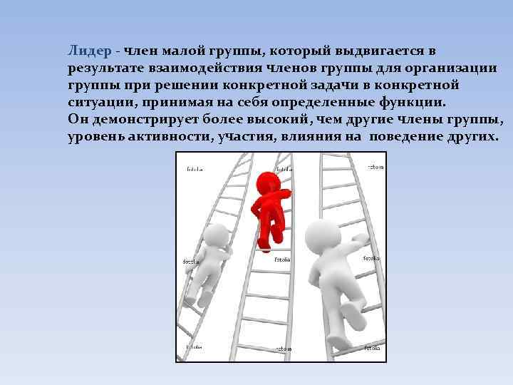 Лидер - член малой группы, который выдвигается в результате взаимодействия членов группы для организации