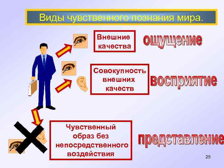 Виды чувственного познания мира. Внешние качества Совокупность внешних качеств Чувственный образ без непосредственного воздействия