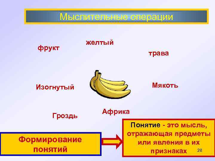  Мыслительные операции желтый фрукт трава Изогнутый Мякоть Африка Гроздь Понятие - это мысль,