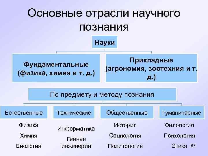  Основные отрасли научного познания Науки Прикладные Фундаментальные (агрономия, зоотехния и т. (физика, химия