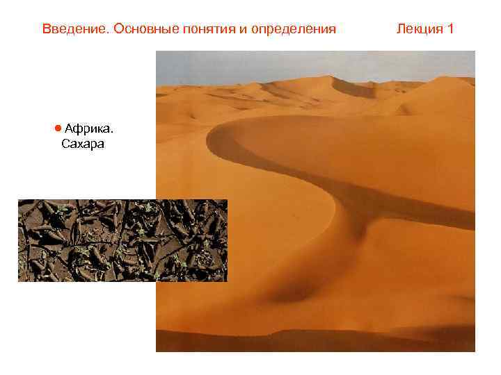 Введение. Основные понятия и определения  Лекция 1  Африка.  Сахара 