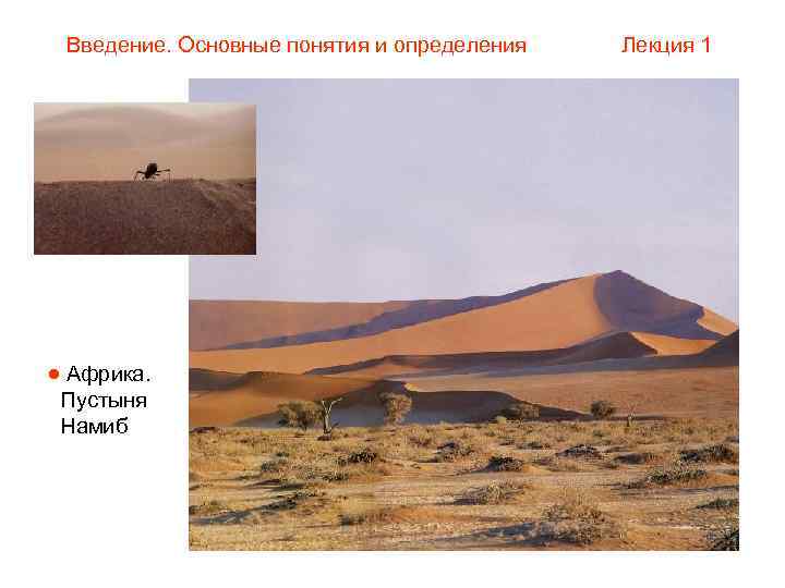  Введение. Основные понятия и определения  Лекция 1  Африка.  Пустыня Намиб