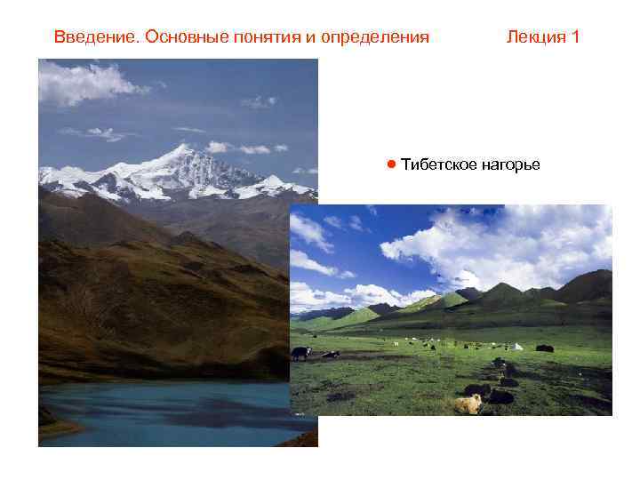 Введение. Основные понятия и определения   Лекция 1     