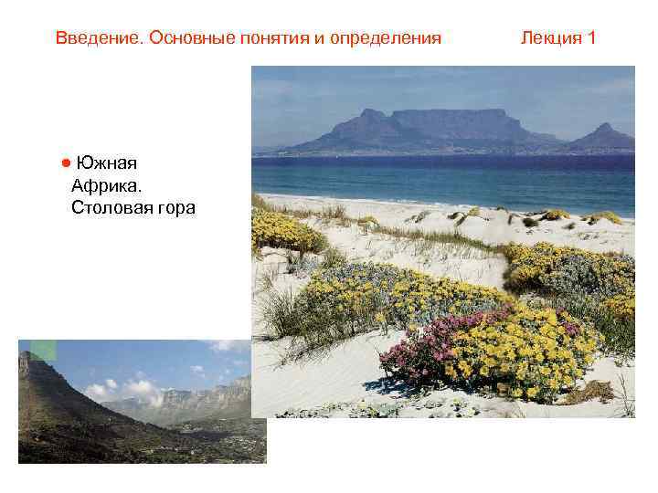 Введение. Основные понятия и определения  Лекция 1  Южная Африка.  Столовая гора