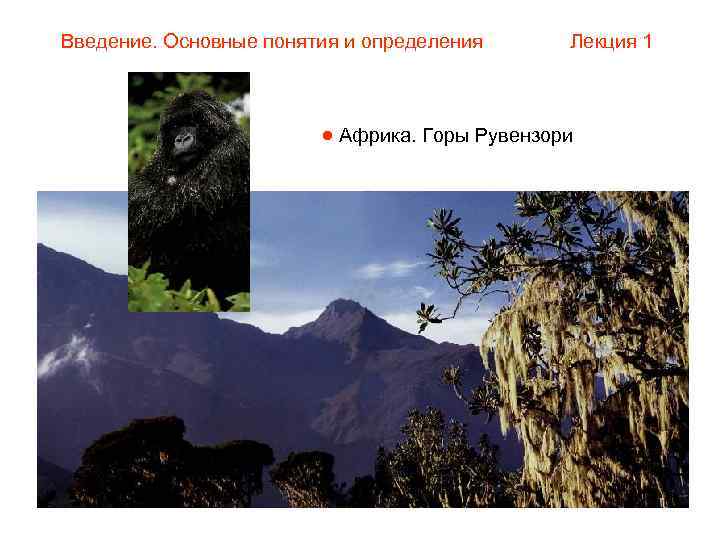 Введение. Основные понятия и определения  Лекция 1     Африка. Горы