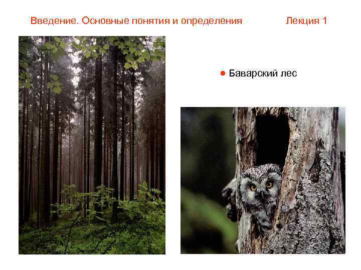 Введение. Основные понятия и определения  Лекция 1      