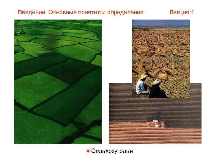 Введение. Основные понятия и определения  Лекция 1      Сельхозугодья