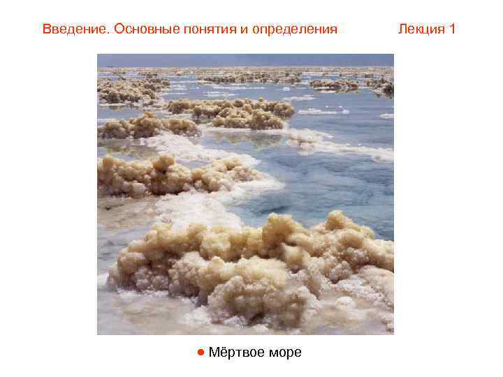 Введение. Основные понятия и определения  Лекция 1      Мёртвое