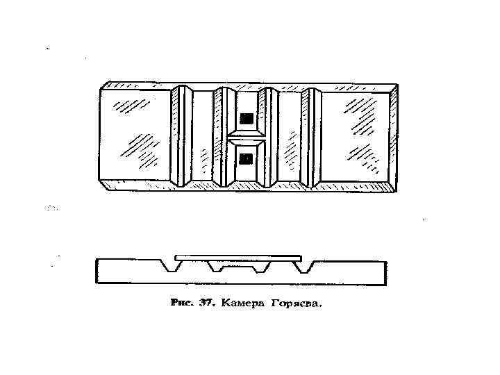 Морфология базофилов, моноцитов, эозинофилов, лимфоцитов 