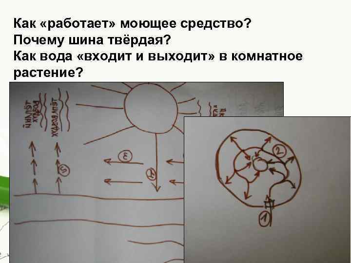 Как «работает» моющее средство? Почему шина твёрдая? Как вода «входит и выходит» в комнатное