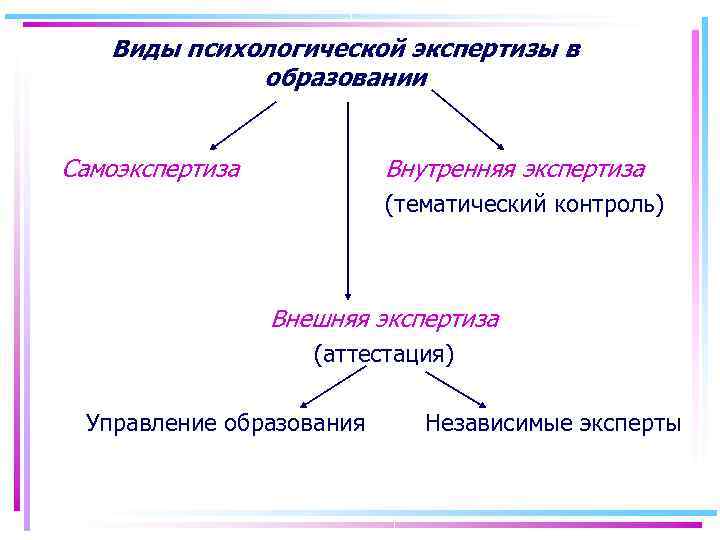 Внутренняя экспертиза проекта