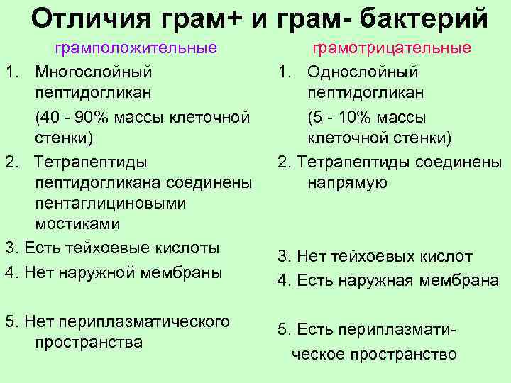  Отличия грам+ и грам- бактерий грамположительные грамотрицательные 1. Многослойный 1. Однослойный пептидогликан пептидогликан