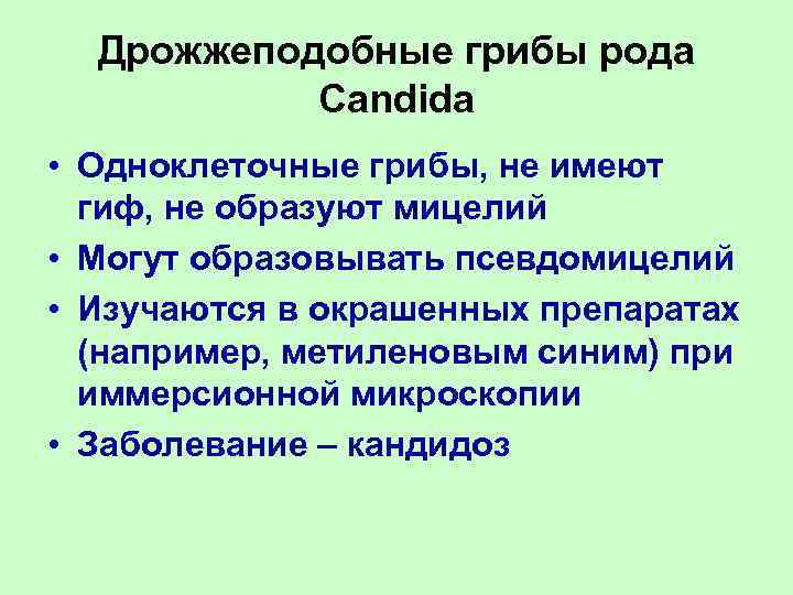  Дрожжеподобные грибы рода  Candida • Одноклеточные грибы, не имеют  гиф, не