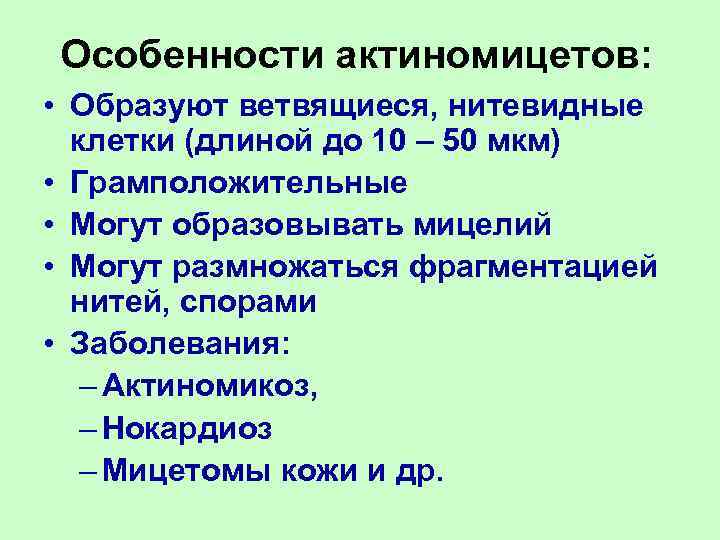 Особенности актиномицетов:  • Образуют ветвящиеся, нитевидные  клетки (длиной до 10 – 50