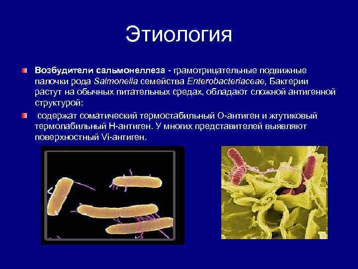  Этиология Возбудители сальмонеллеза - грамотрицательные подвижные палочки рода Salmonella семейства Enterobacteriaceae, Бактерии растут