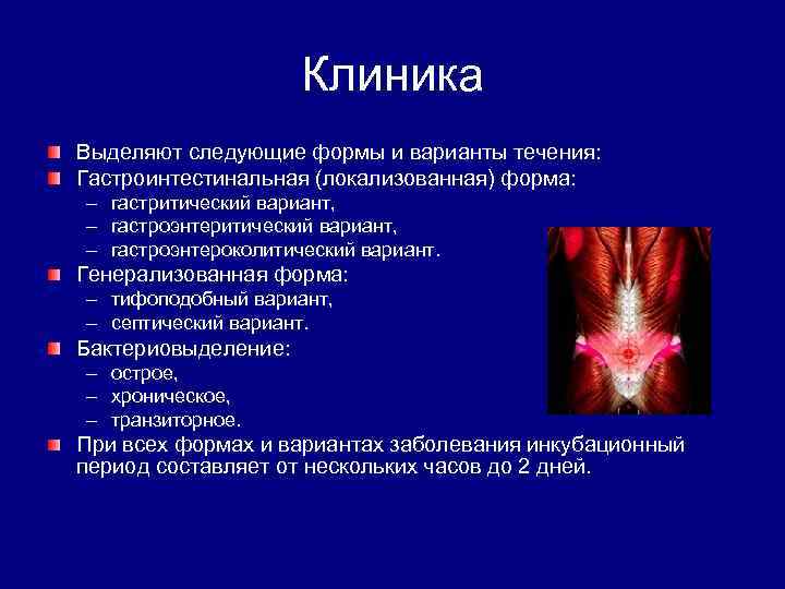  Клиника Выделяют следующие формы и варианты течения: Гастроинтестинальная (локализованная) форма: – гастритический вариант,