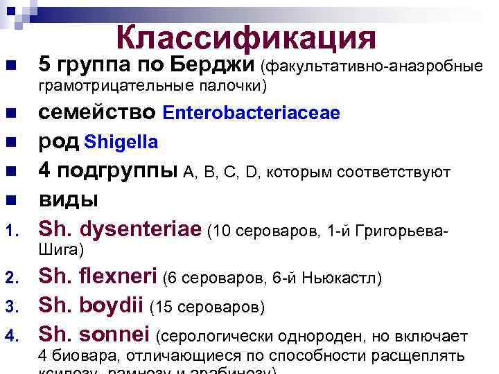  Классификация n 5 группа по Берджи (факультативно-анаэробные грамотрицательные палочки) n семейство Enterobacteriaceae n