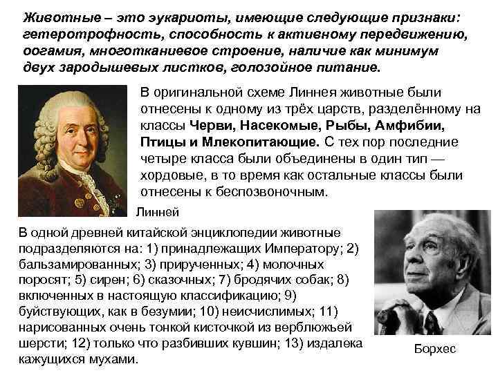 Животные – это эукариоты, имеющие следующие признаки: гетеротрофность, способность к активному передвижению, оогамия, многотканиевое