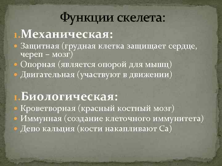  Функции скелета: 1. Механическая: Защитная (грудная клетка защищает сердце, череп – мозг) Опорная