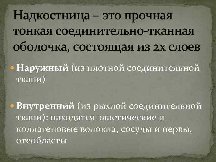 Надкостница – это прочная тонкая соединительно-тканная оболочка, состоящая из 2 х слоев Наружный (из