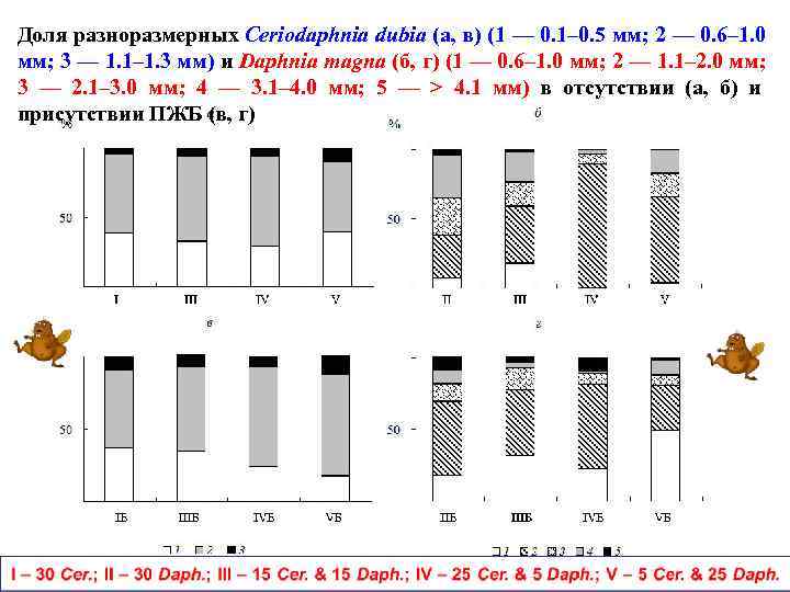 Доля разноразмерных Ceriodaphnia dubia (а, в) (1 — 0. 1– 0. 5 мм; 2