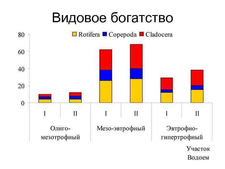 Видовое богатство 