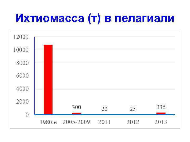 Ихтиомасса (т) в пелагиали 