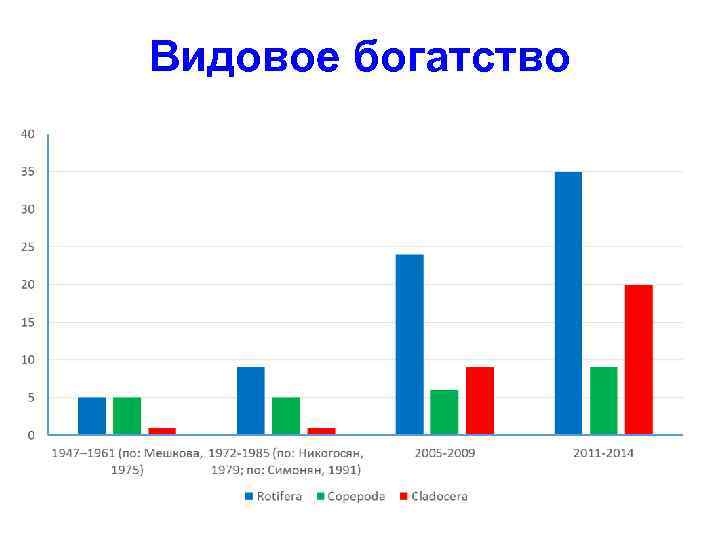 Видовое богатство 