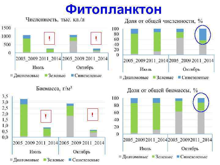  Фитопланктон ! ! 