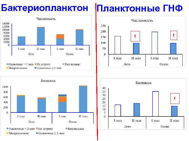 Бактериопланктон Планктонные ГНФ ! ! ! 