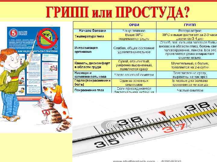 ПРОФИЛАКТИКА  Основным  средством   профилактики  ГРИППА  является  