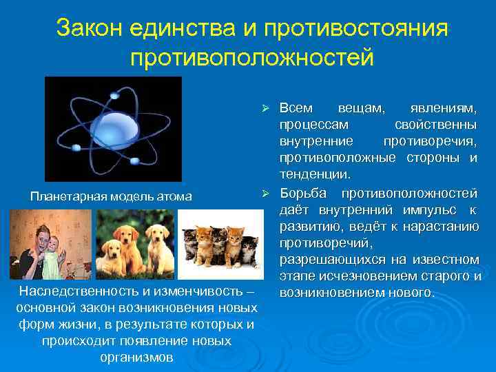  Закон единства и противостояния   противоположностей      
