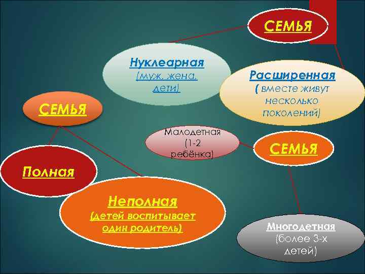       СЕМЬЯ   Нуклеарная   (муж, жена,