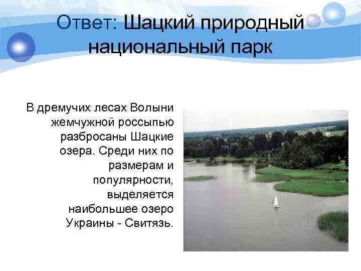  Ответ: Шацкий природный национальный парк В дремучих лесах Волыни жемчужной россыпью разбросаны Шацкие