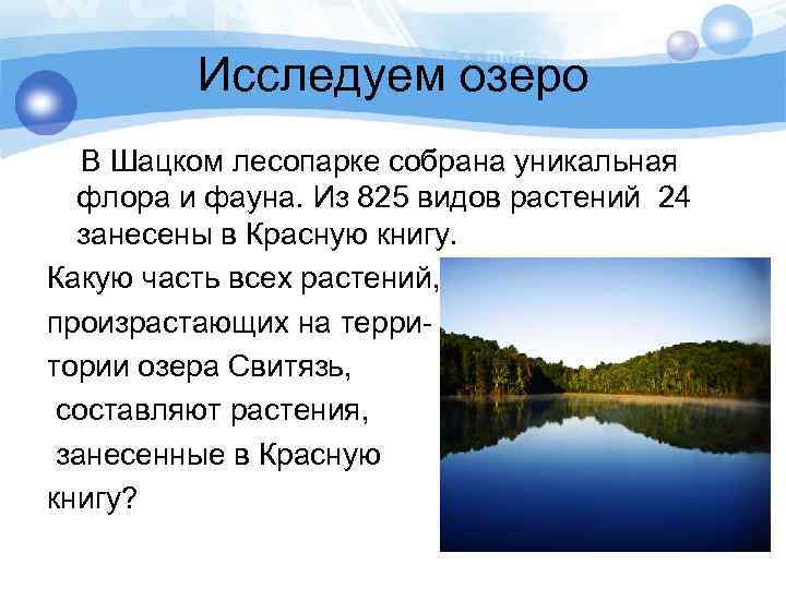  Исследуем озеро В Шацком лесопарке собрана уникальная флора и фауна. Из 825 видов