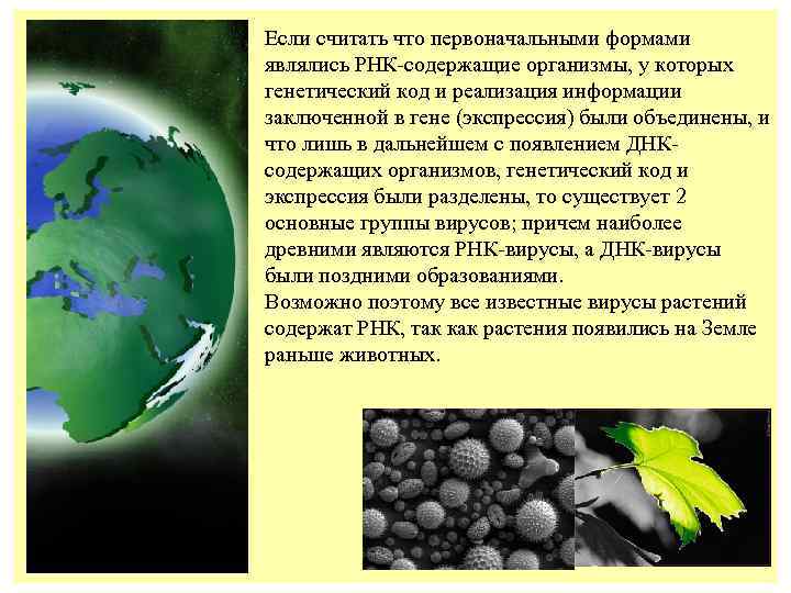 Если считать что первоначальными формами являлись РНК-содержащие организмы, у которых генетический код и реализация