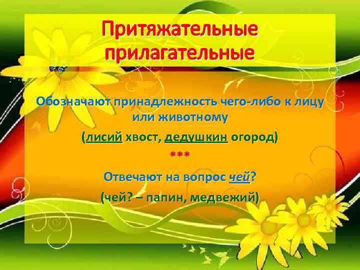   Притяжательные   прилагательные Обозначают принадлежность чего-либо к лицу  