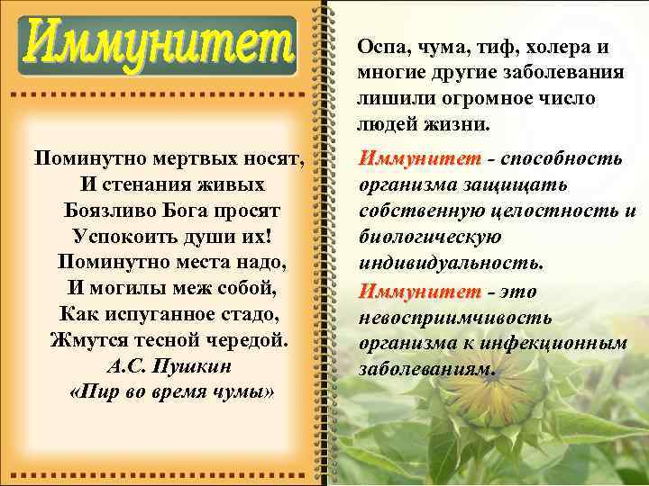  Оспа, чума, тиф, холера и многие другие заболевания лишили огромное число людей жизни.