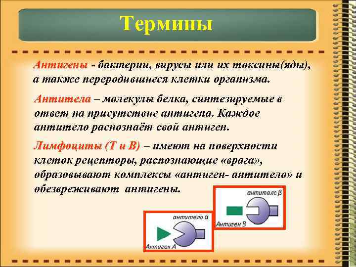  Термины Антигены - бактерии, вирусы или их токсины(яды), а также переродившиеся клетки организма.