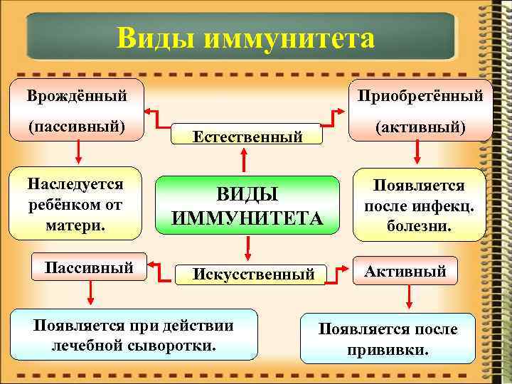  Виды иммунитета Врождённый Приобретённый (пассивный) (активный) Естественный Наследуется Появляется ребёнком от ВИДЫ после