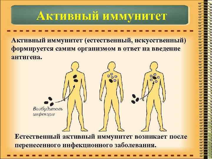  Активный иммунитет (естественный, искусственный) формируется самим организмом в ответ на введение антигена. Естественный