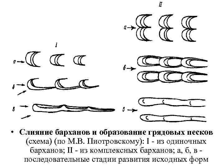  • Продольные песчаные гряды распространены во  всех пустынях мира, всюду, где господствуют